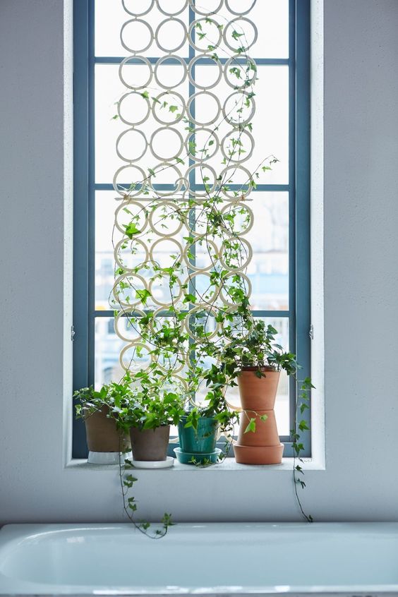 decora tus ventanas sin usar cortinas 4