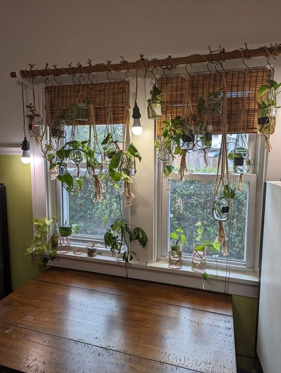 decora tus ventanas sin usar cortinas 8