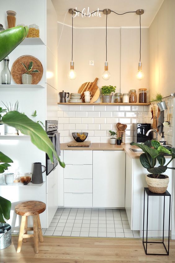 17 ideas prácticas para decorar la cocina con plantas y darle un estilo  único